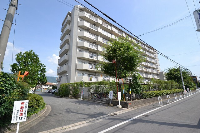 GNZ[ggc