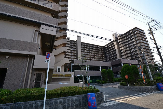 tVΐ